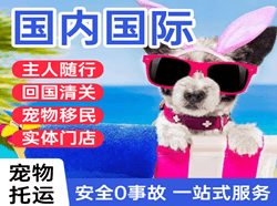 西郊机场快递国际宠物托运 【国